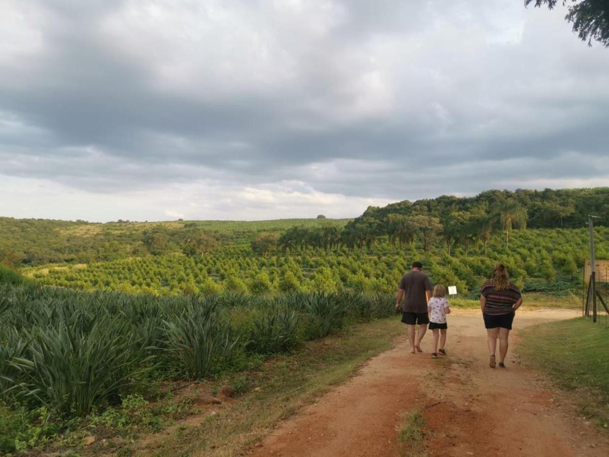 Ulwazi Rock Lodge Hazyview